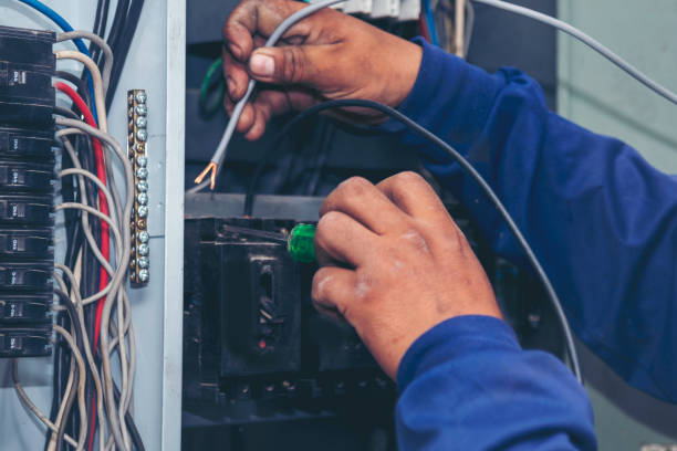 Best Electric Panel Repair  in Amery, WI